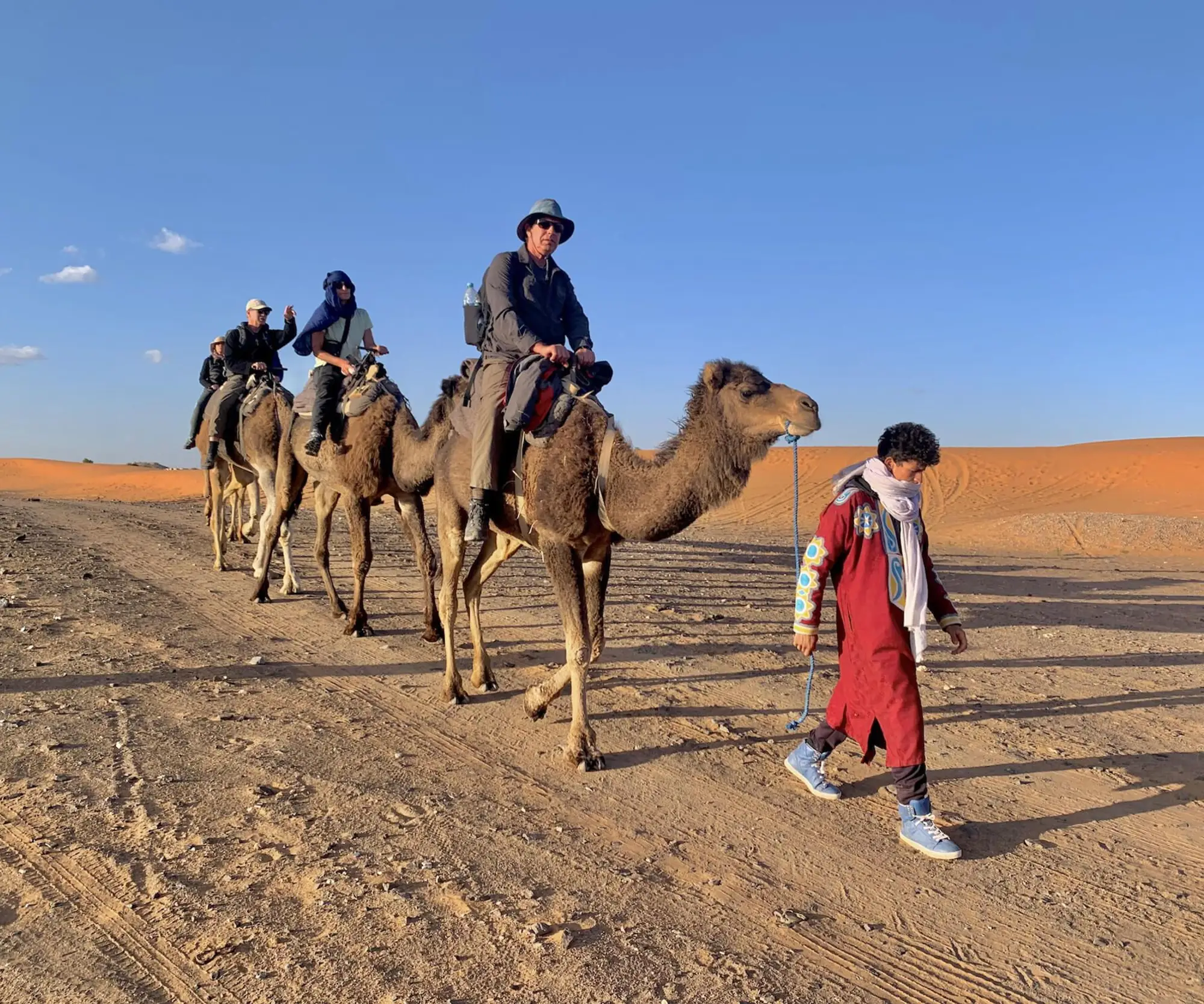 D8   HIKE with the Camels (1)