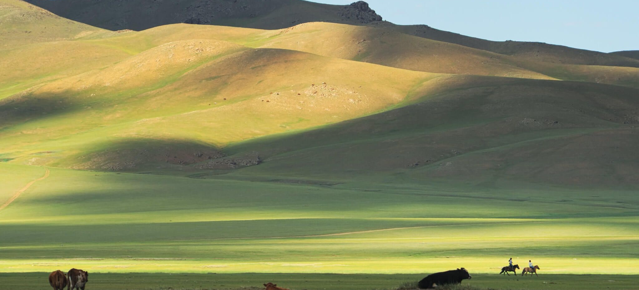 Mangolia_Khangai2(1)