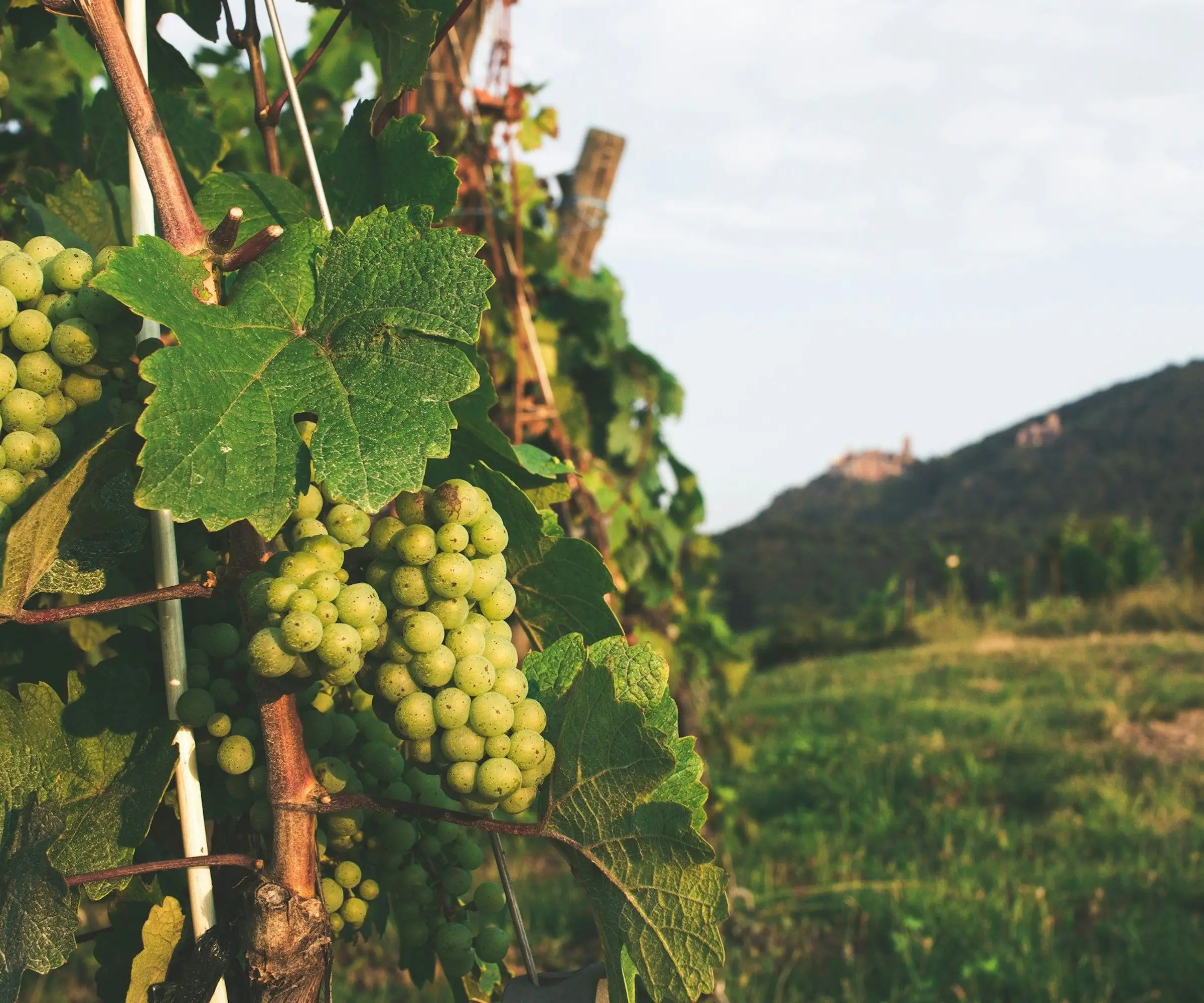 France hiking_unsplash