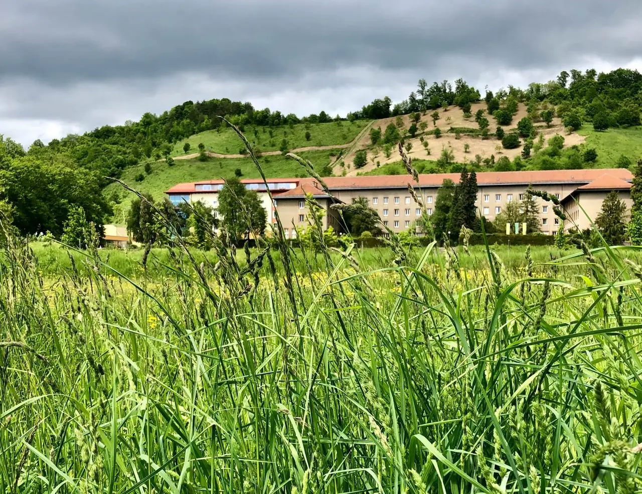 Picture for The Complete Guide to Cycling Provence article