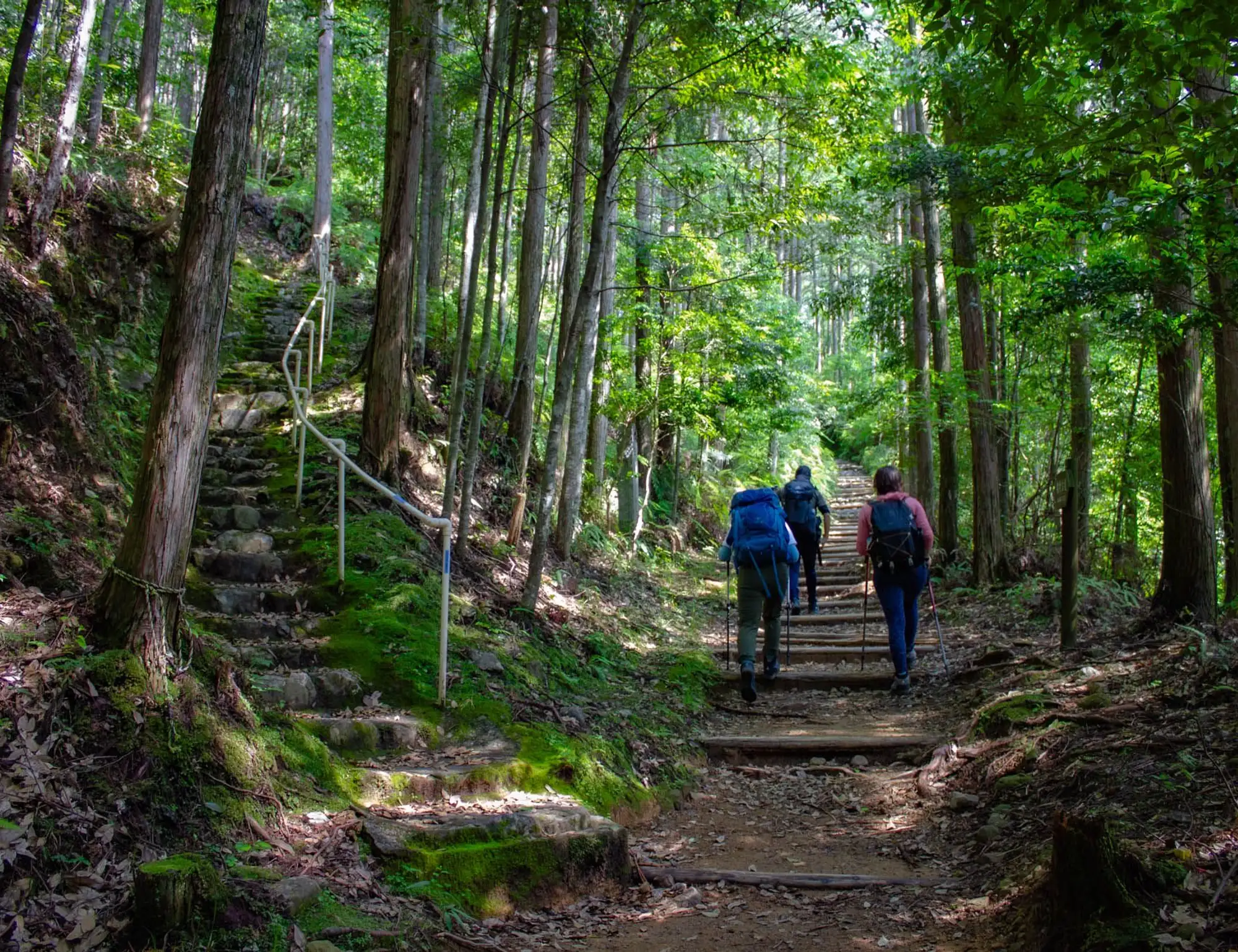Nakasendo Trail Walking and Hiking Tour