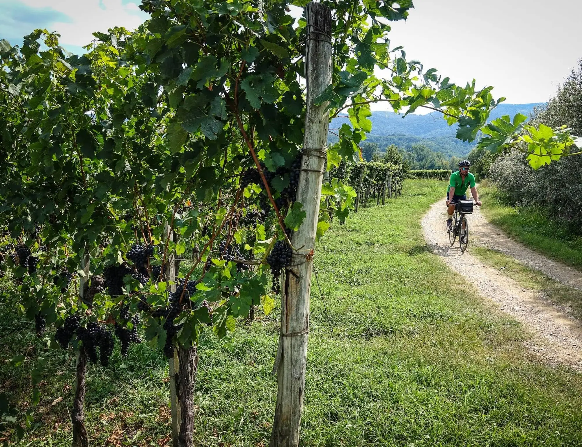 Splendors of Slovenia and Croatia Bike Tour