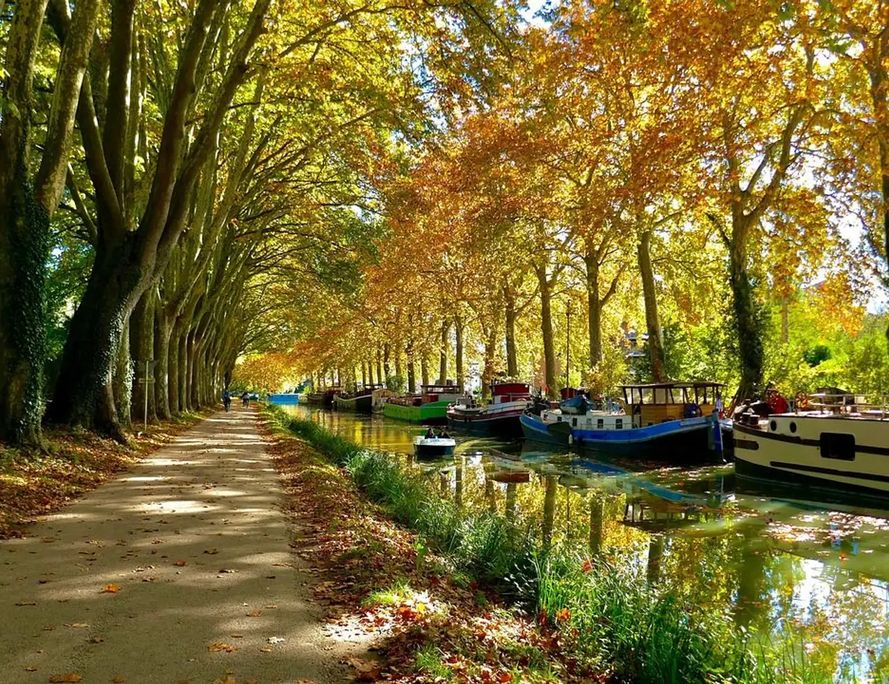 Canal Du Midi in Style Bike Tour