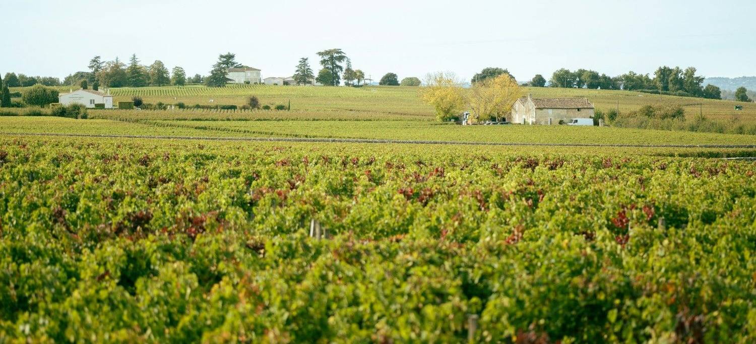 Bordeaux (1)