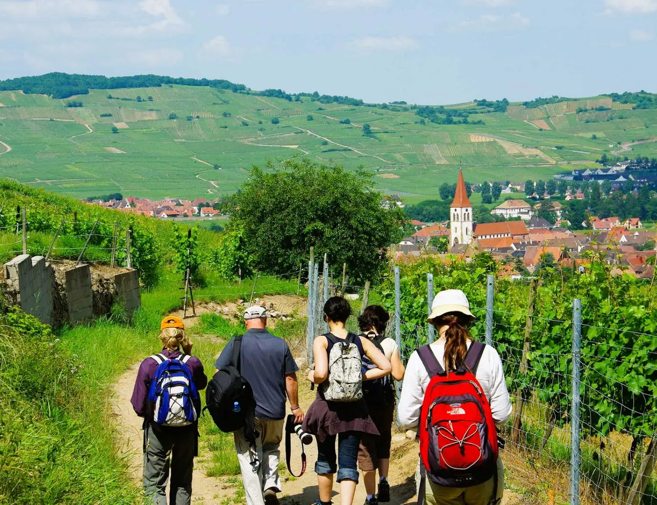 Picture for The Complete Guide to Hiking Alsace article