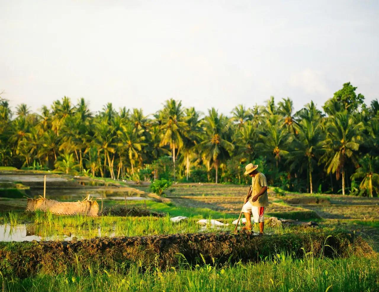 Picture for The Complete Guide to Hiking the Pekoe Trail  article