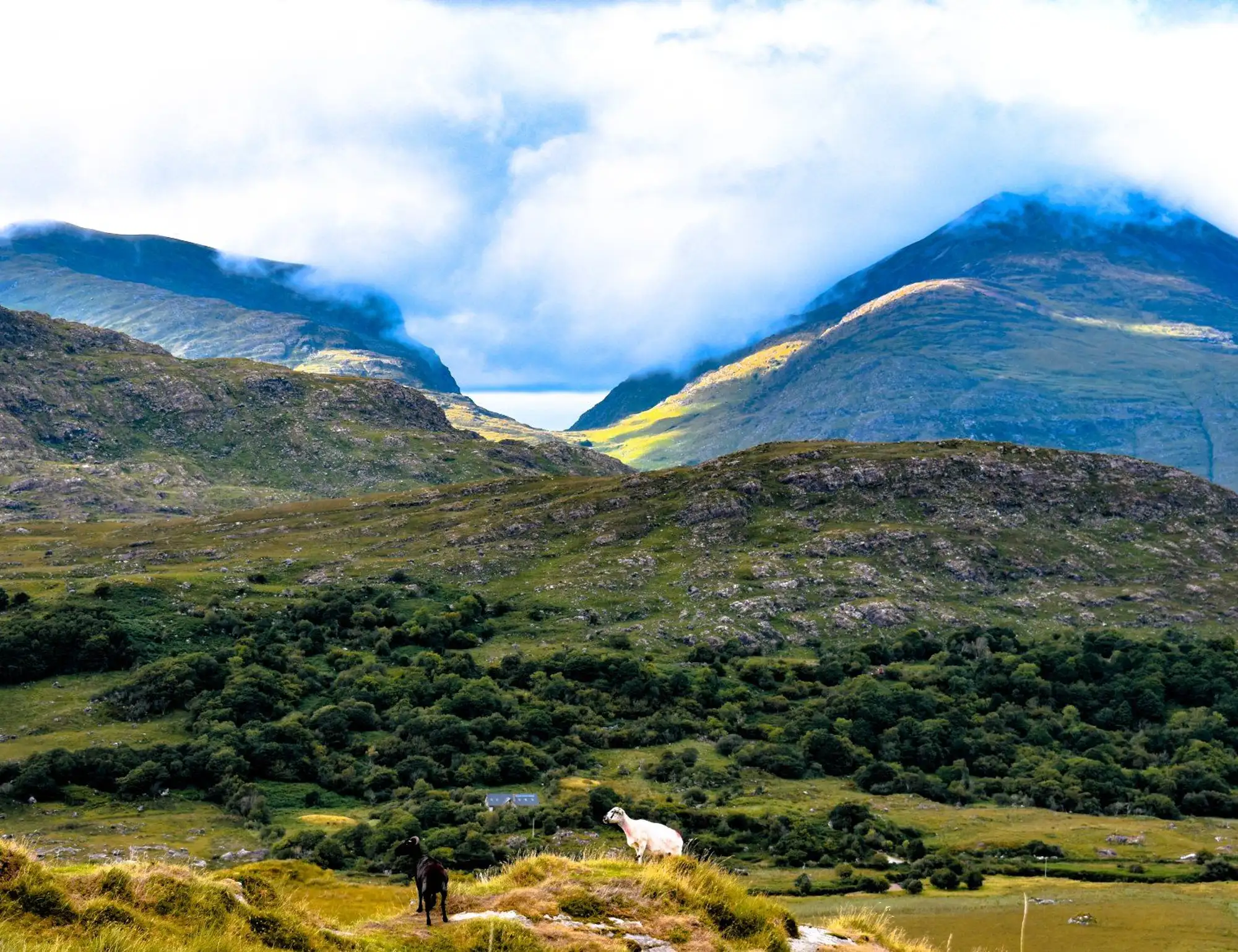 Ring of Kerry Bike Tour