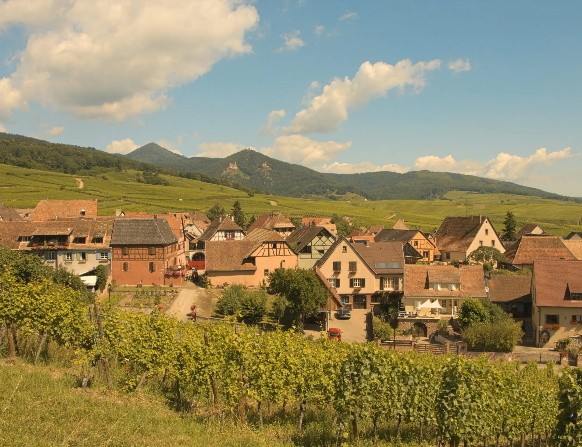Alsace Bike and Spa Tour