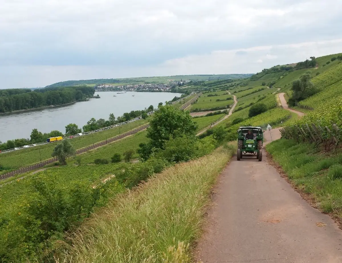 Stuttgart to Frankfurt Three Rivers Bike and Barge Tour 