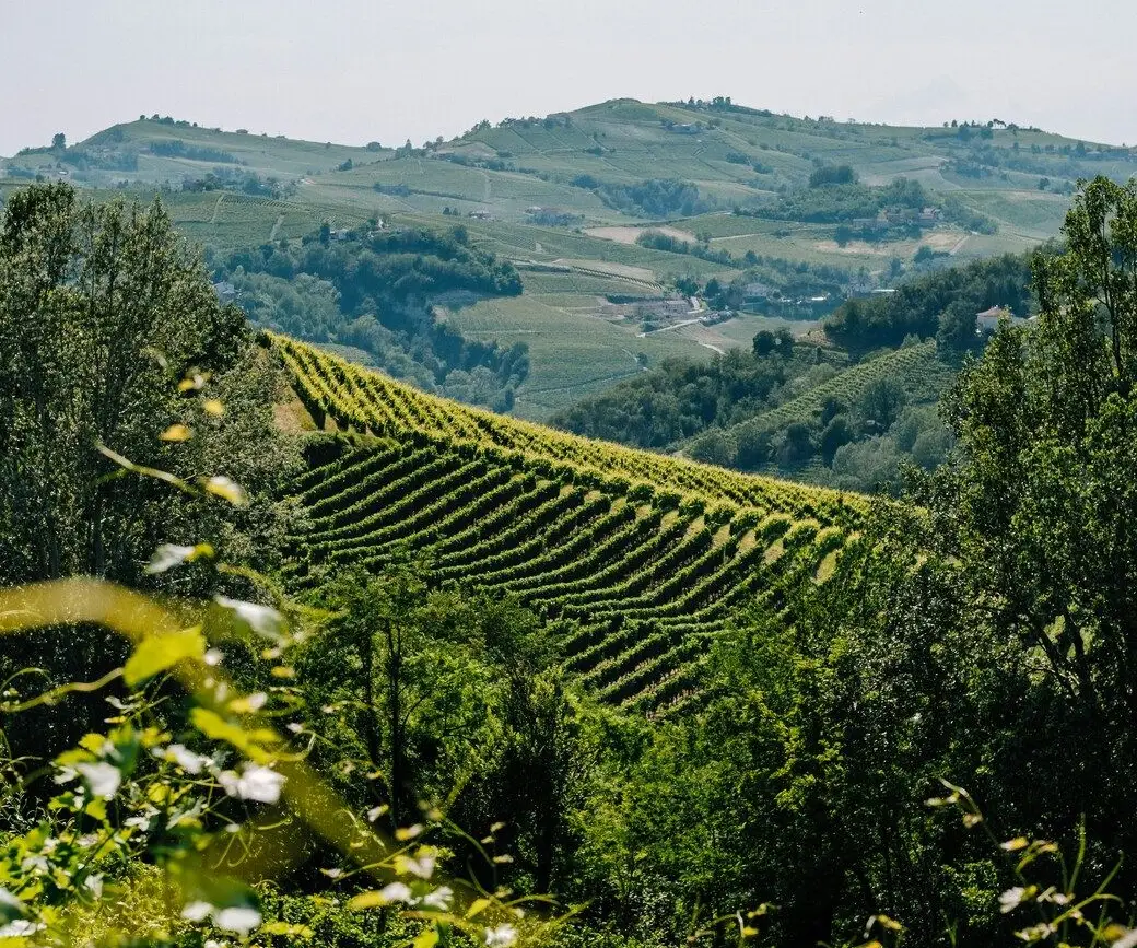 kristaps grundsteins eSkU9bMC2Cc unsplash (1)