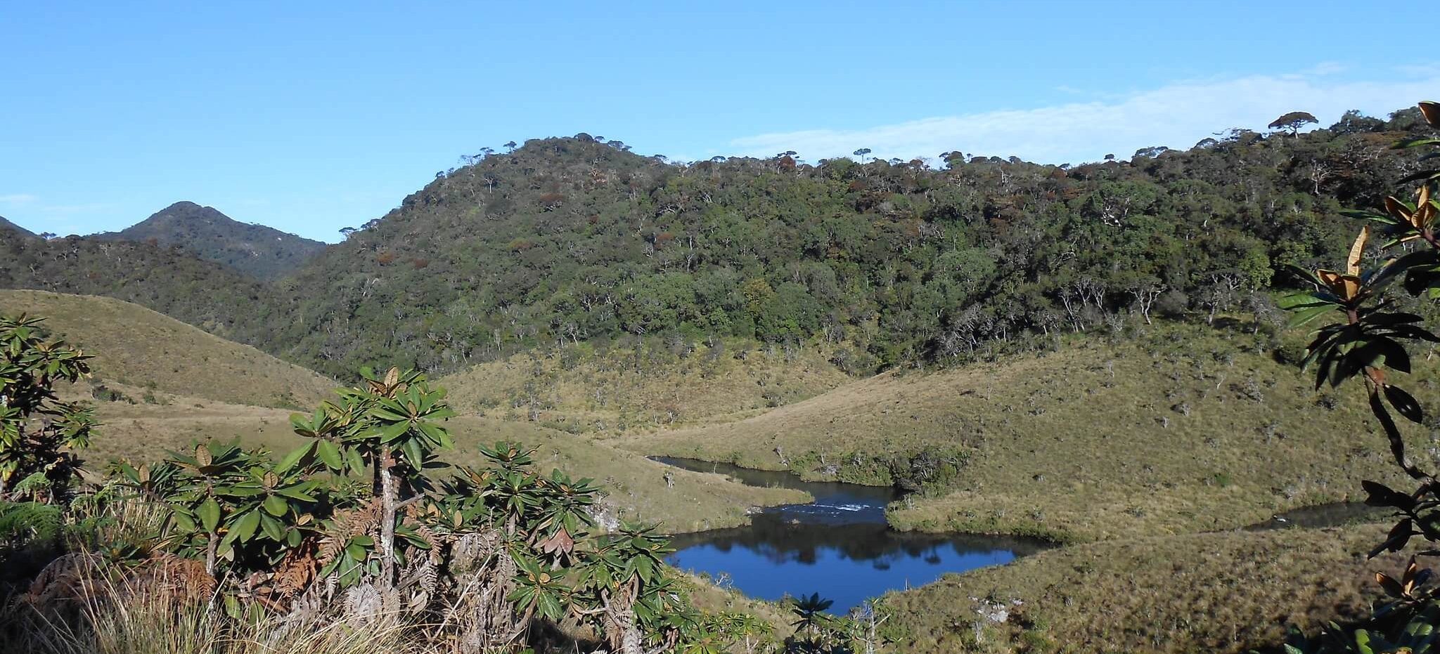 srilanka Horton Plains (1)