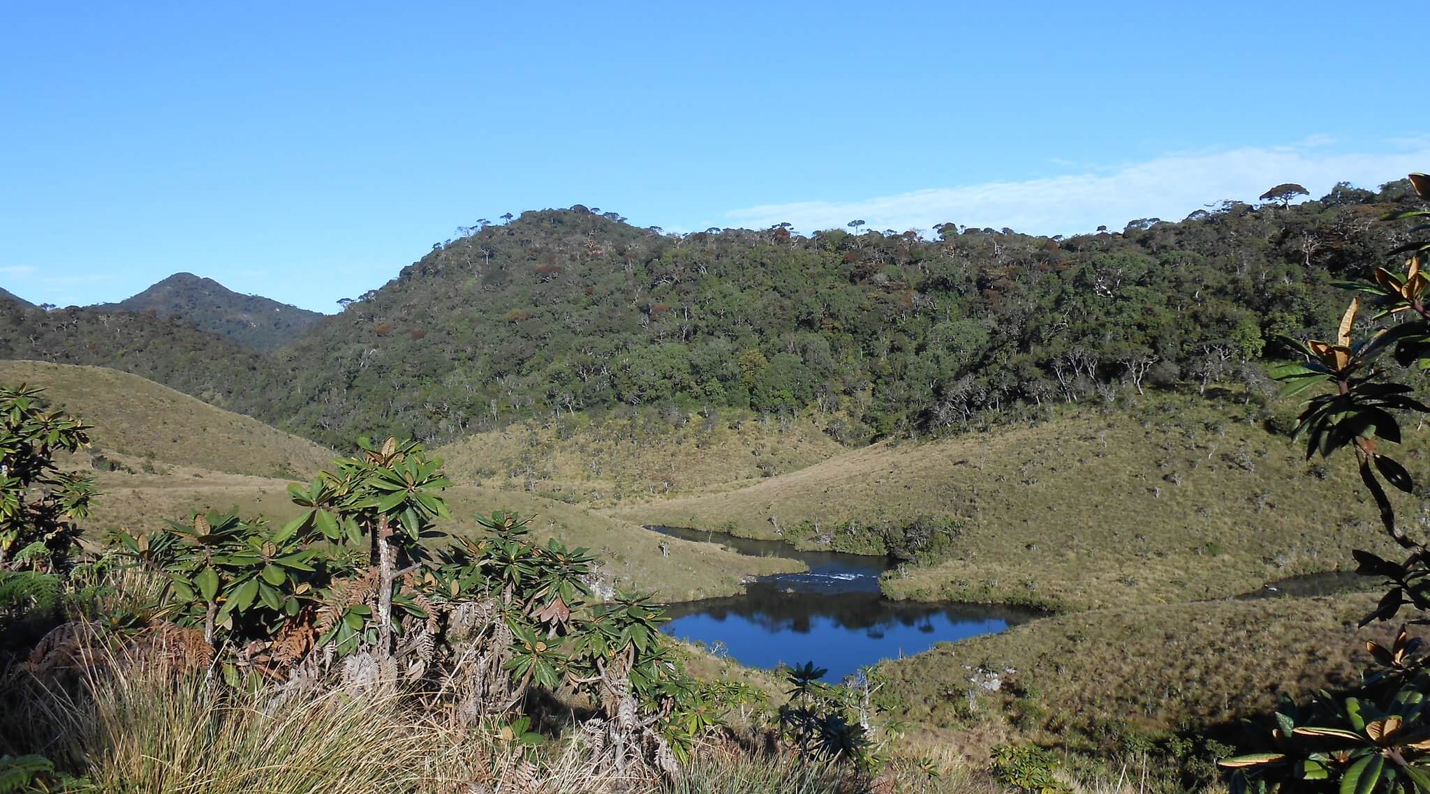 srilanka Horton Plains (1)