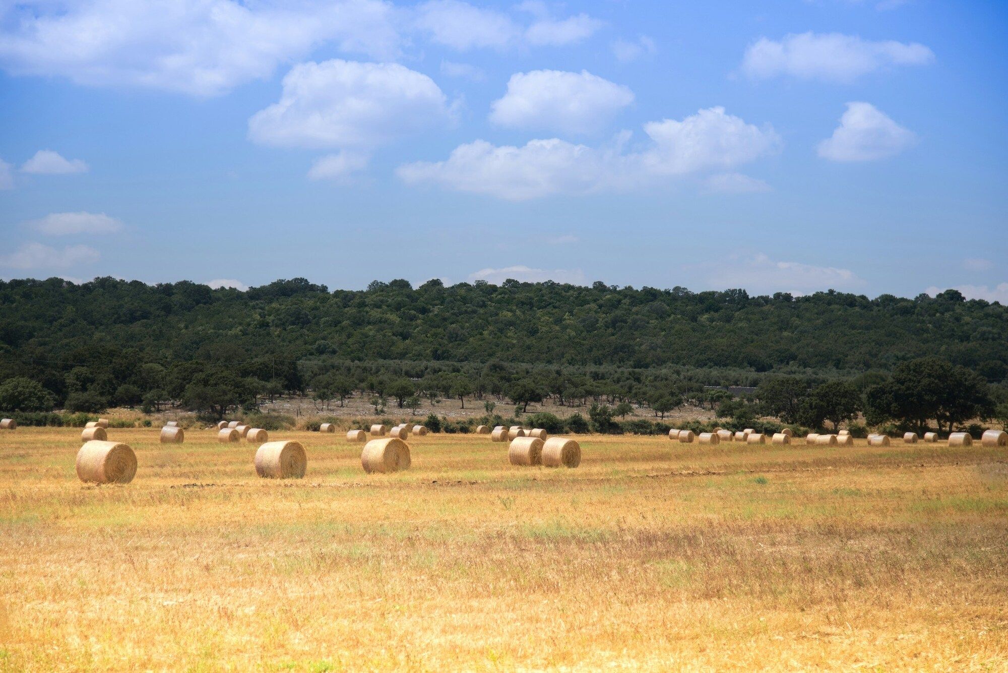 Itinerary Image