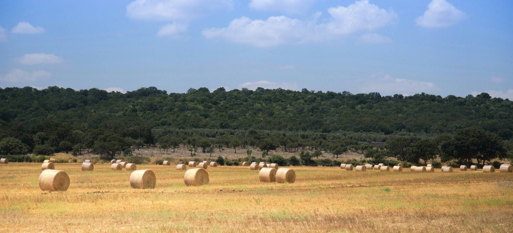 Alentejo gravel 4 (1)