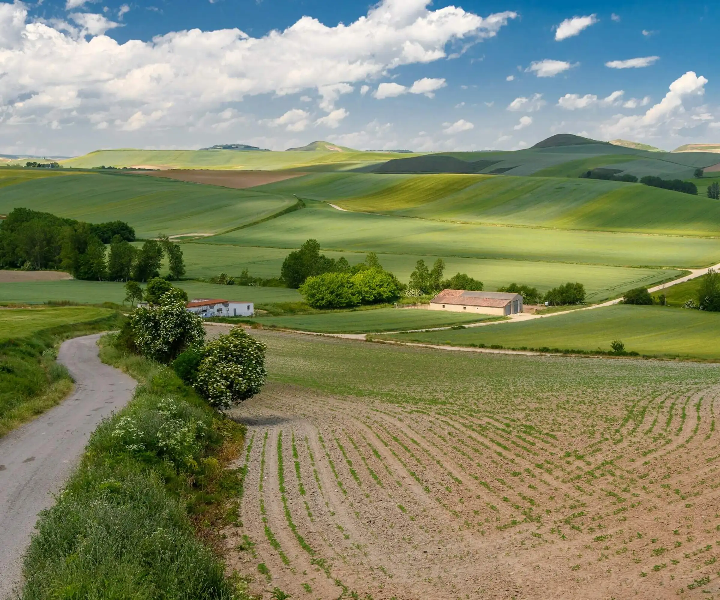 La Rioja_unsplash