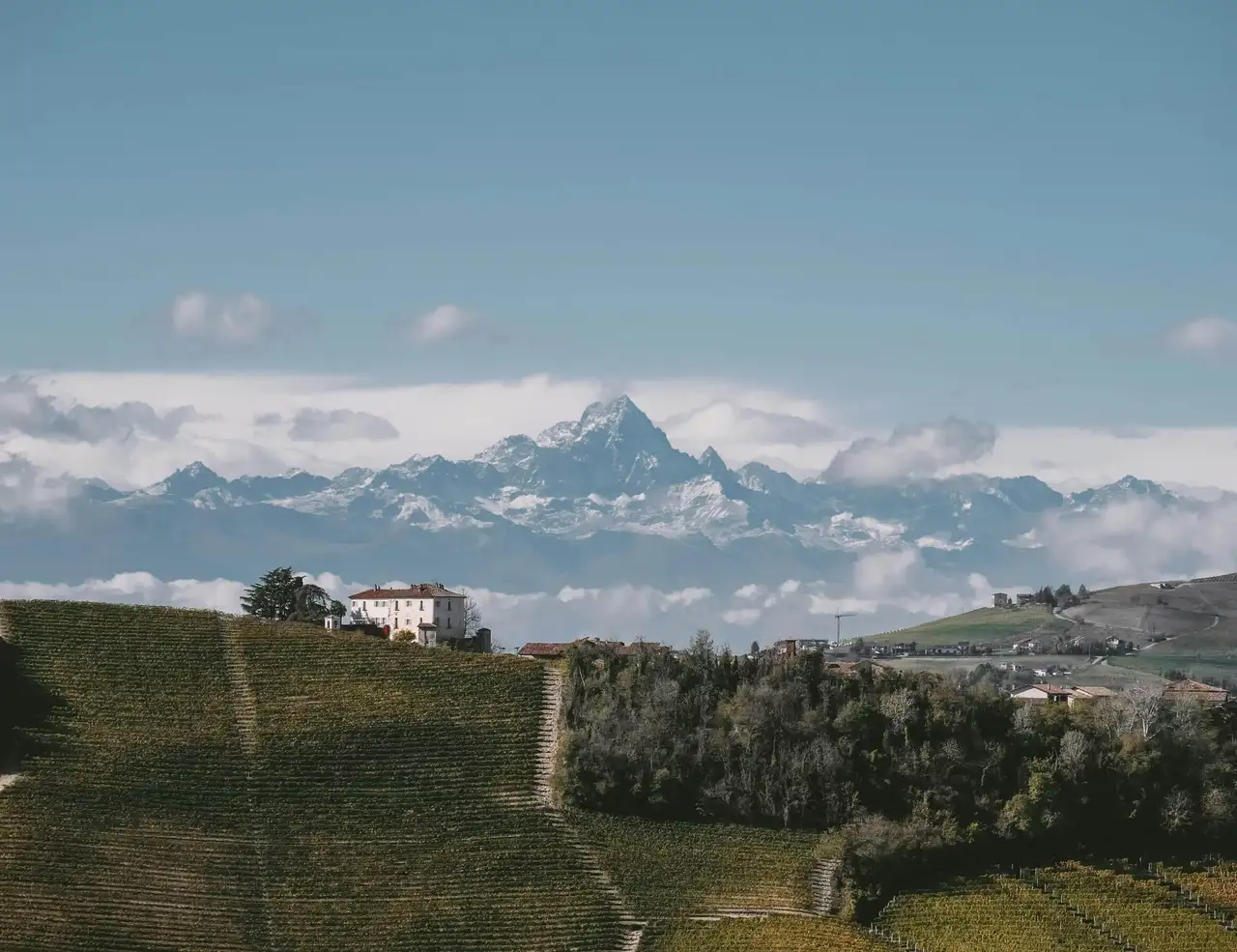 Picture for The Complete Guide To Cycling Piedmont article