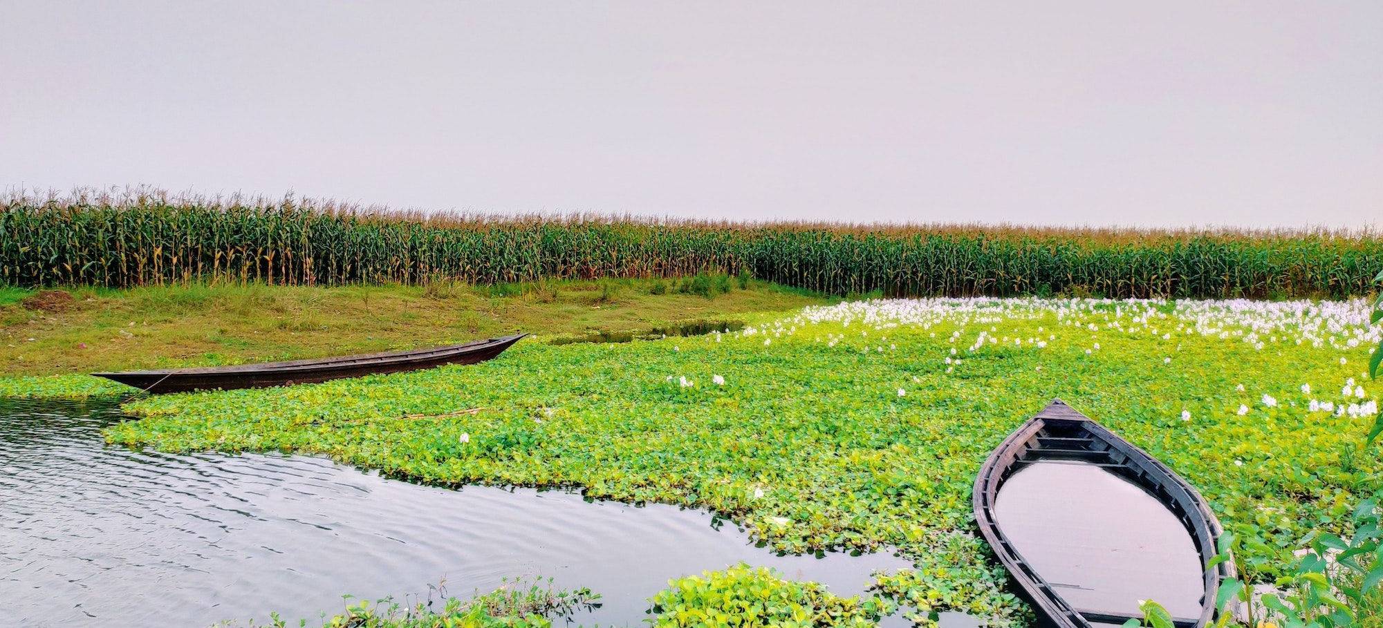 assam_cycling_4