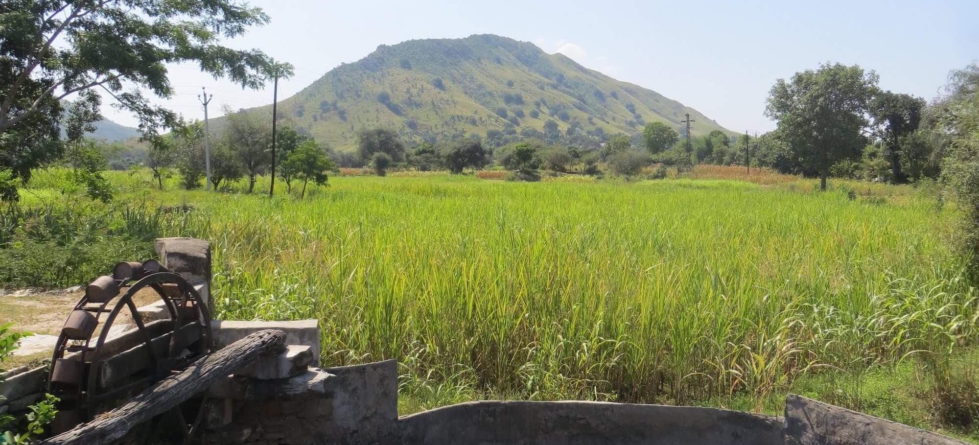 rajasthan bike tour 21