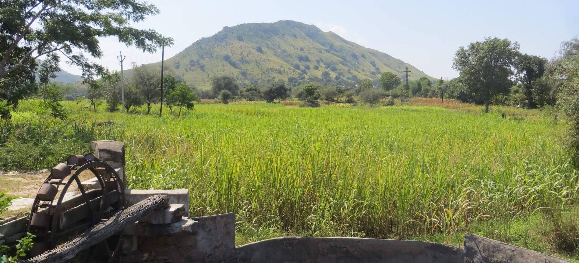 rajasthan bike tour 21