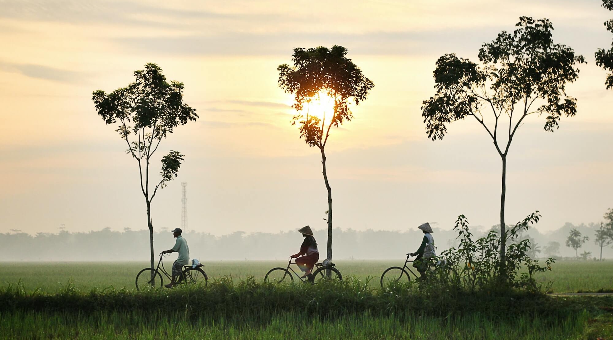 vietnam bike tour 17