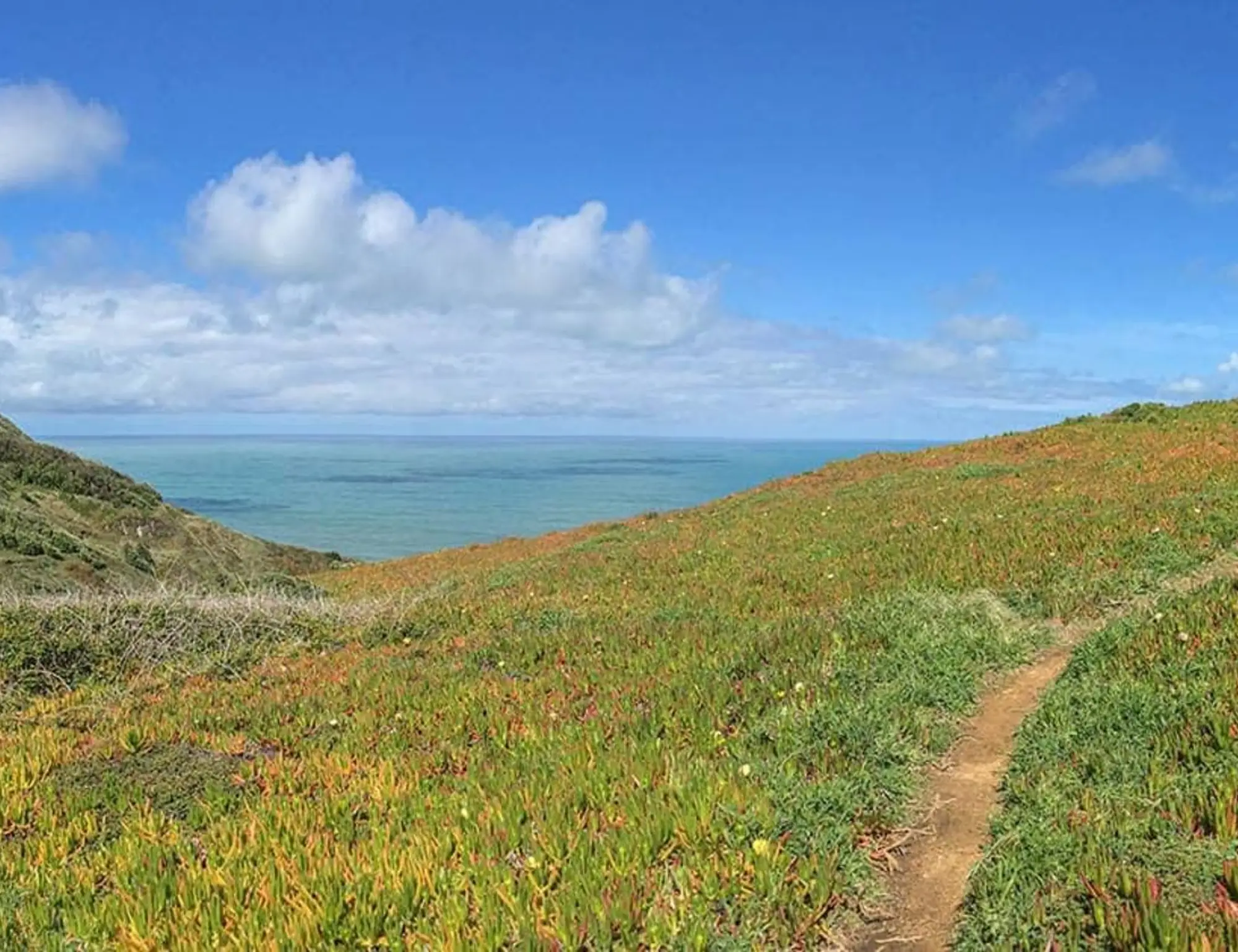Sintra Heritage and Coastal  Hiking Tour 