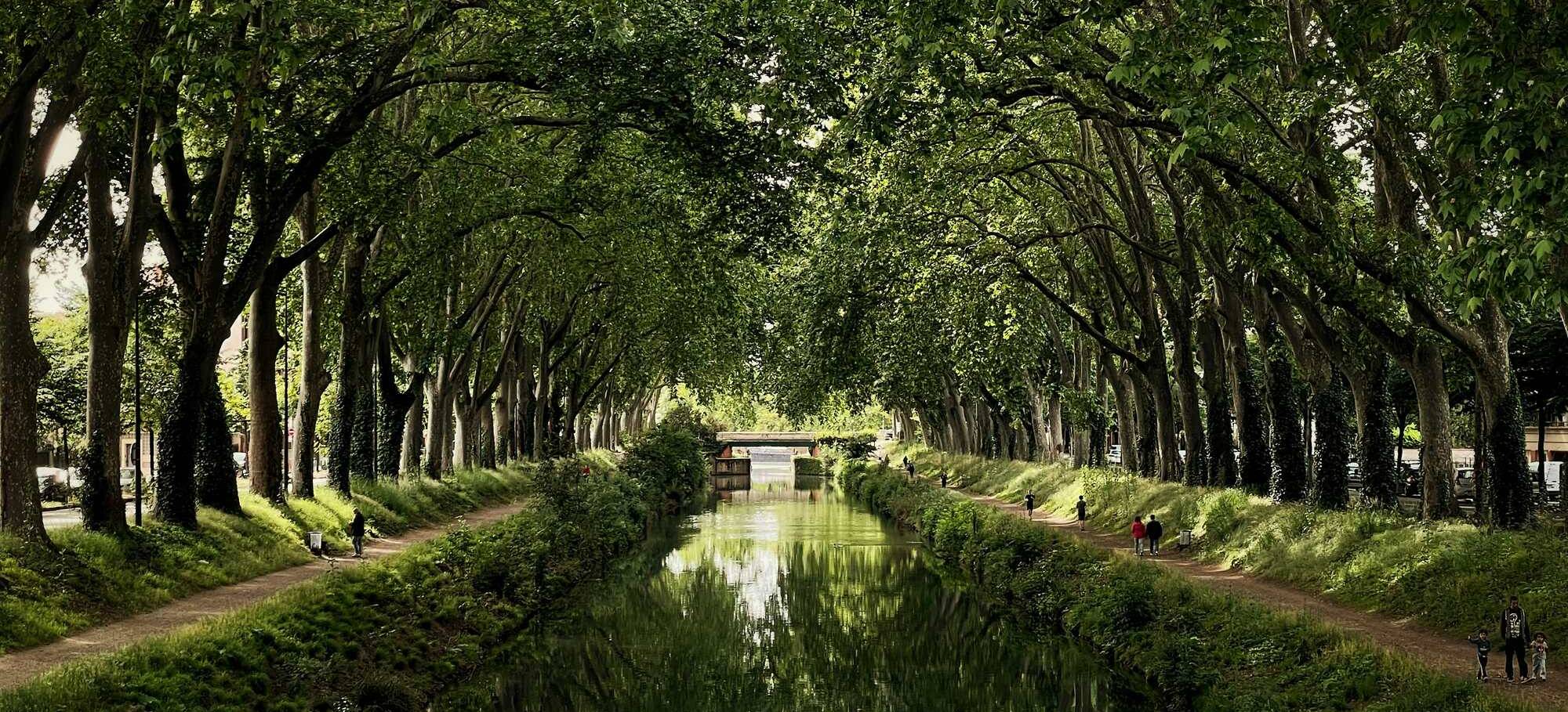canal du midi FI (1)