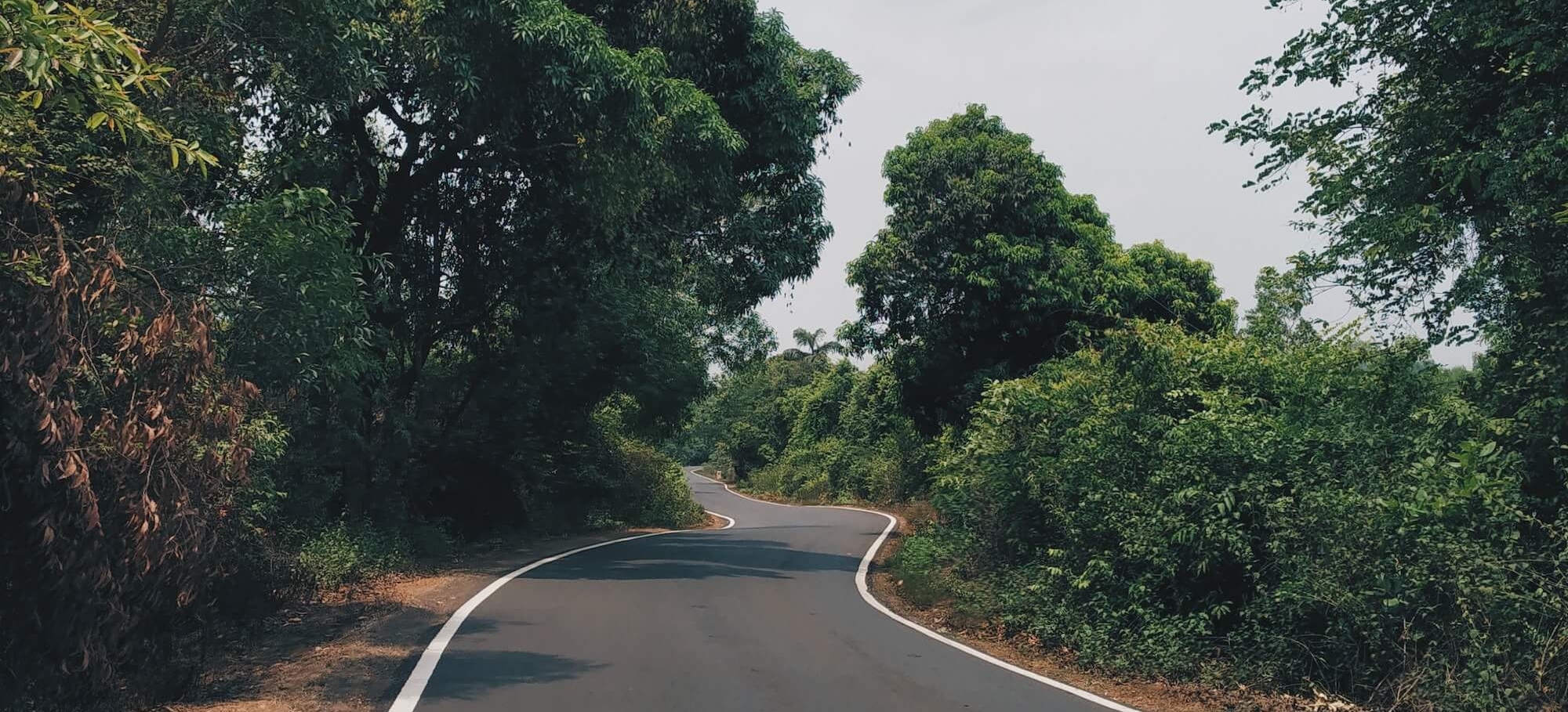 goa bike tour 11