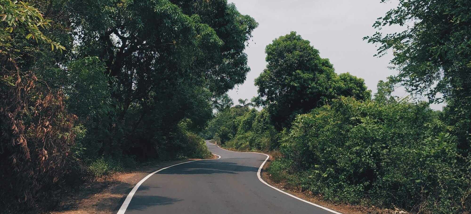 goa bike tour 11