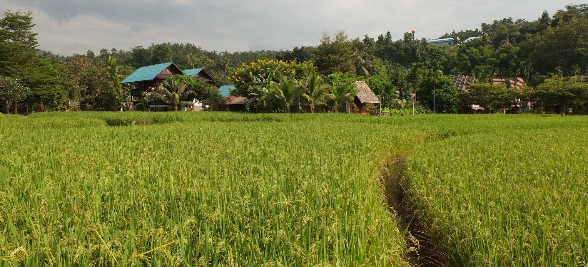 thailand bike tour 7
