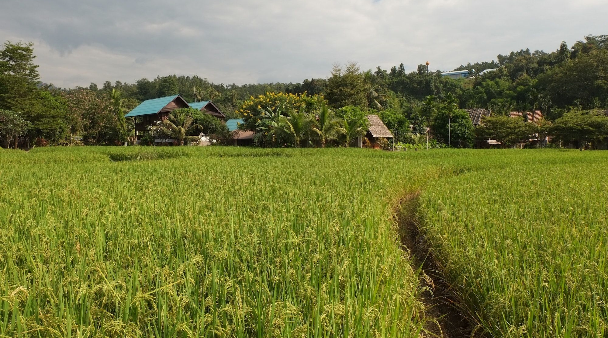 thailand bike tour 7