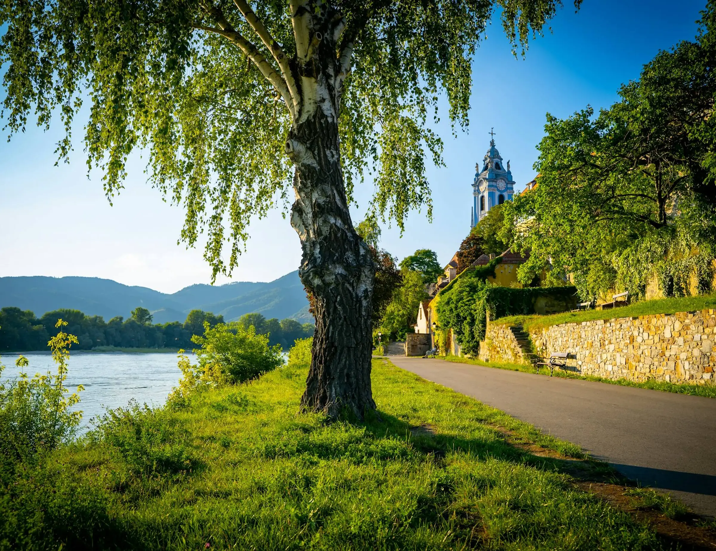 Passau to Vienna Beer and Wine Danube Cycle Path Bike Tour