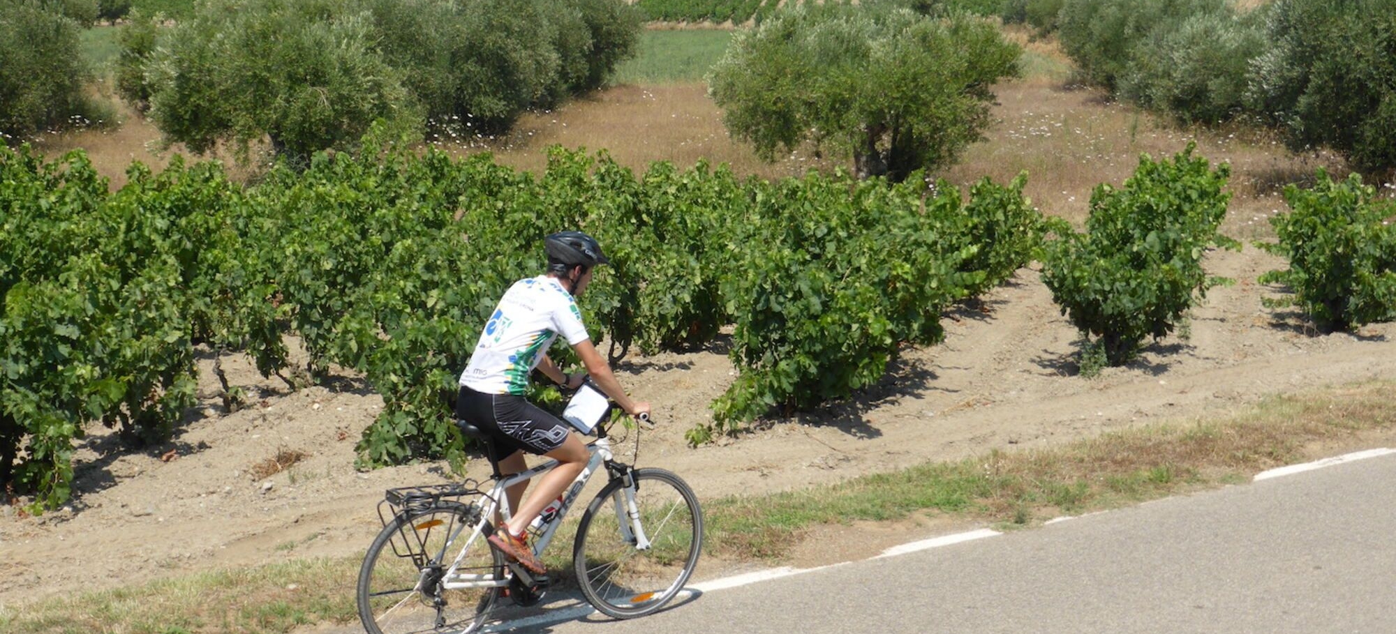 Catalonia day 6