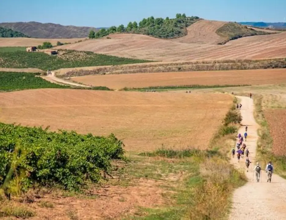 Picture for The Complete Guide to Hiking the Camino de Santiago  article