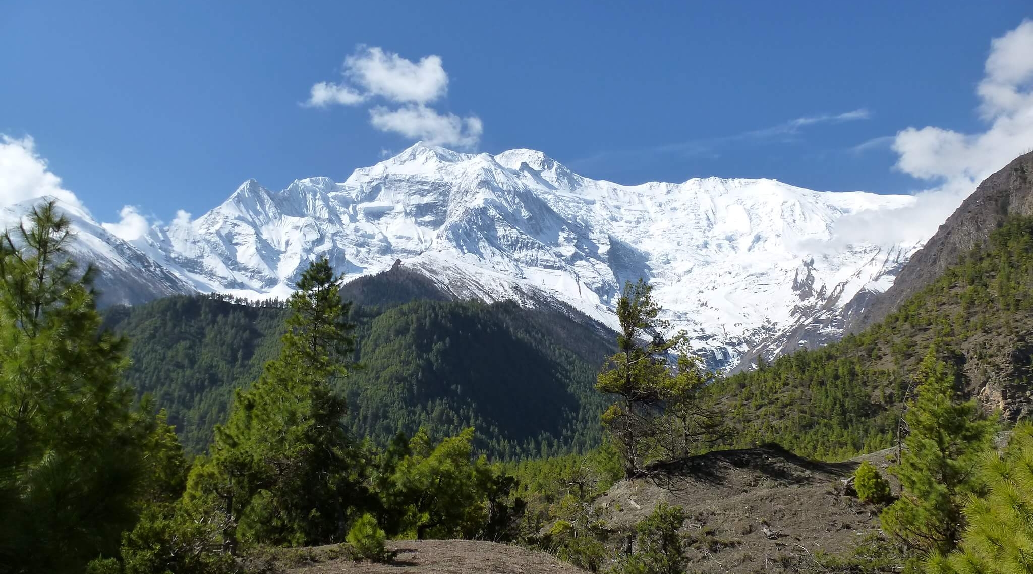 Day7 Nepal Annapurna (1)