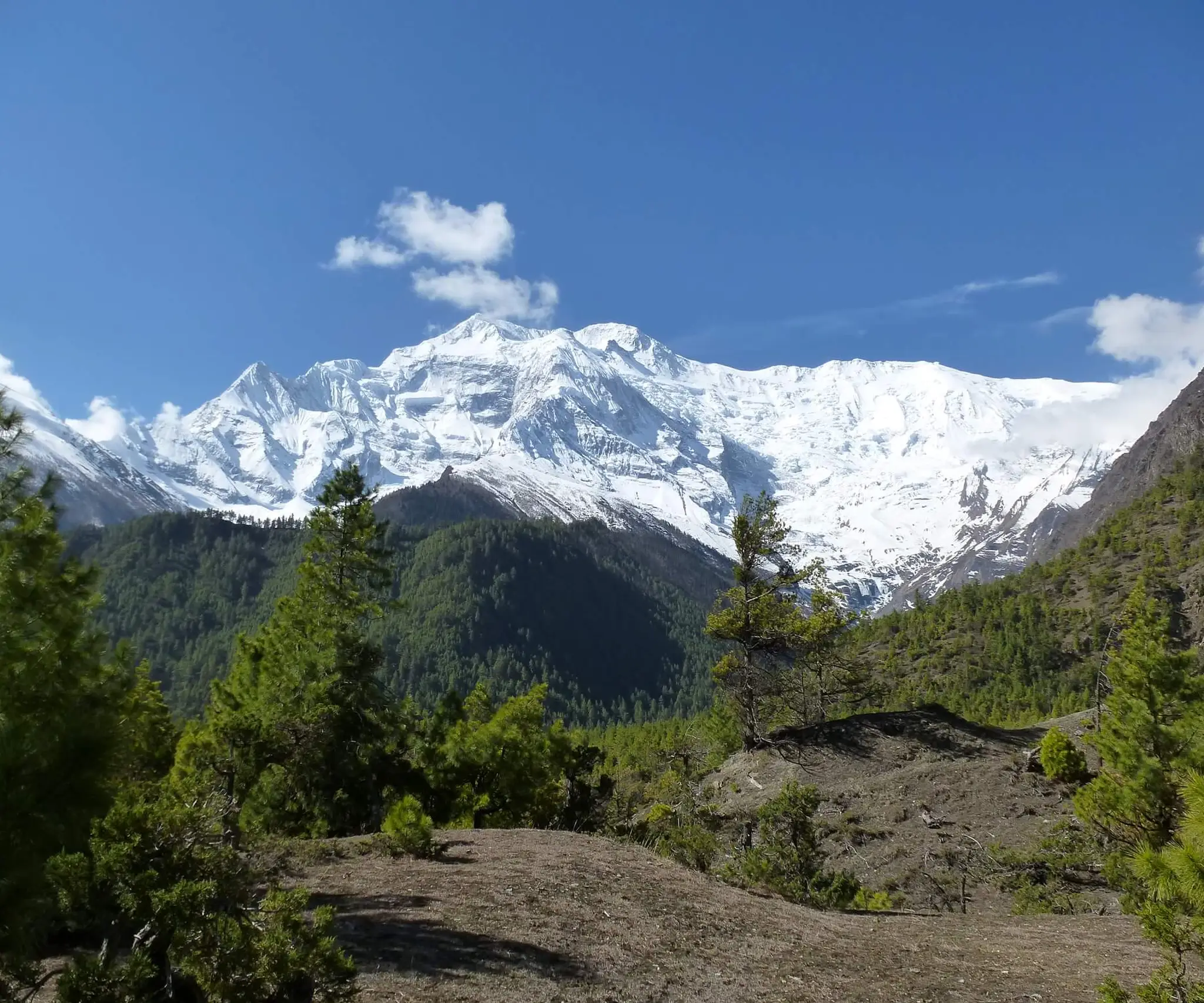 Day7 Nepal Annapurna (1)
