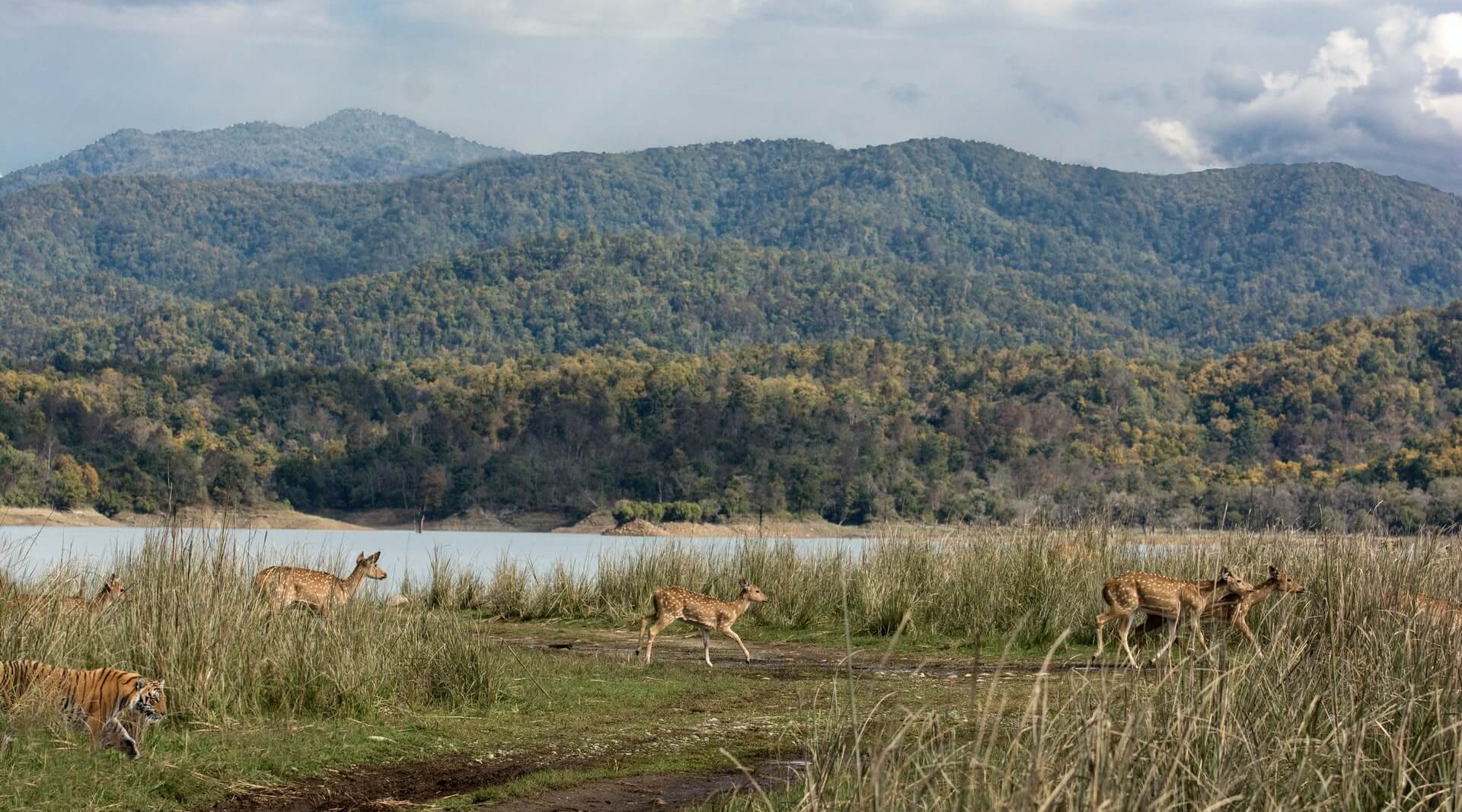 uttarakhand Jim Corbett day3 (1)