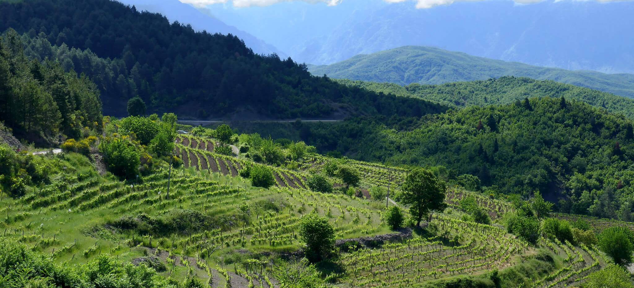 albania 28