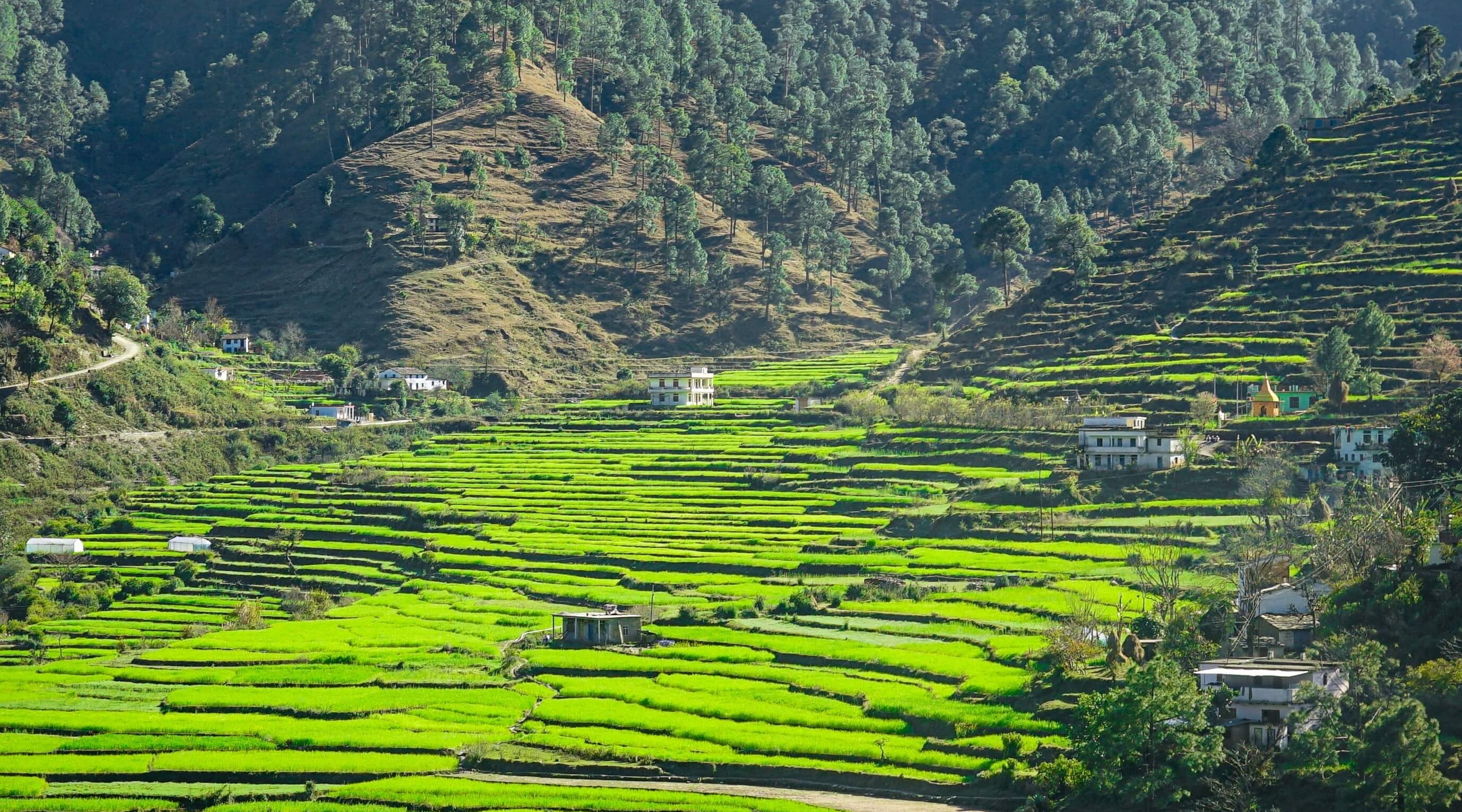 uttarakhand cycling 5