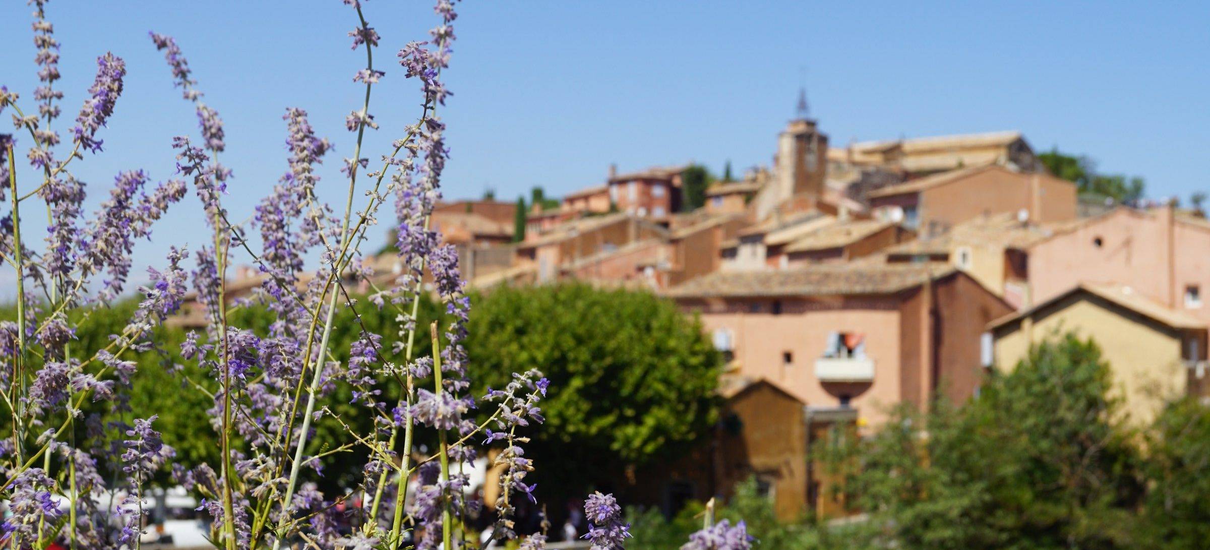 Provence_unsplash