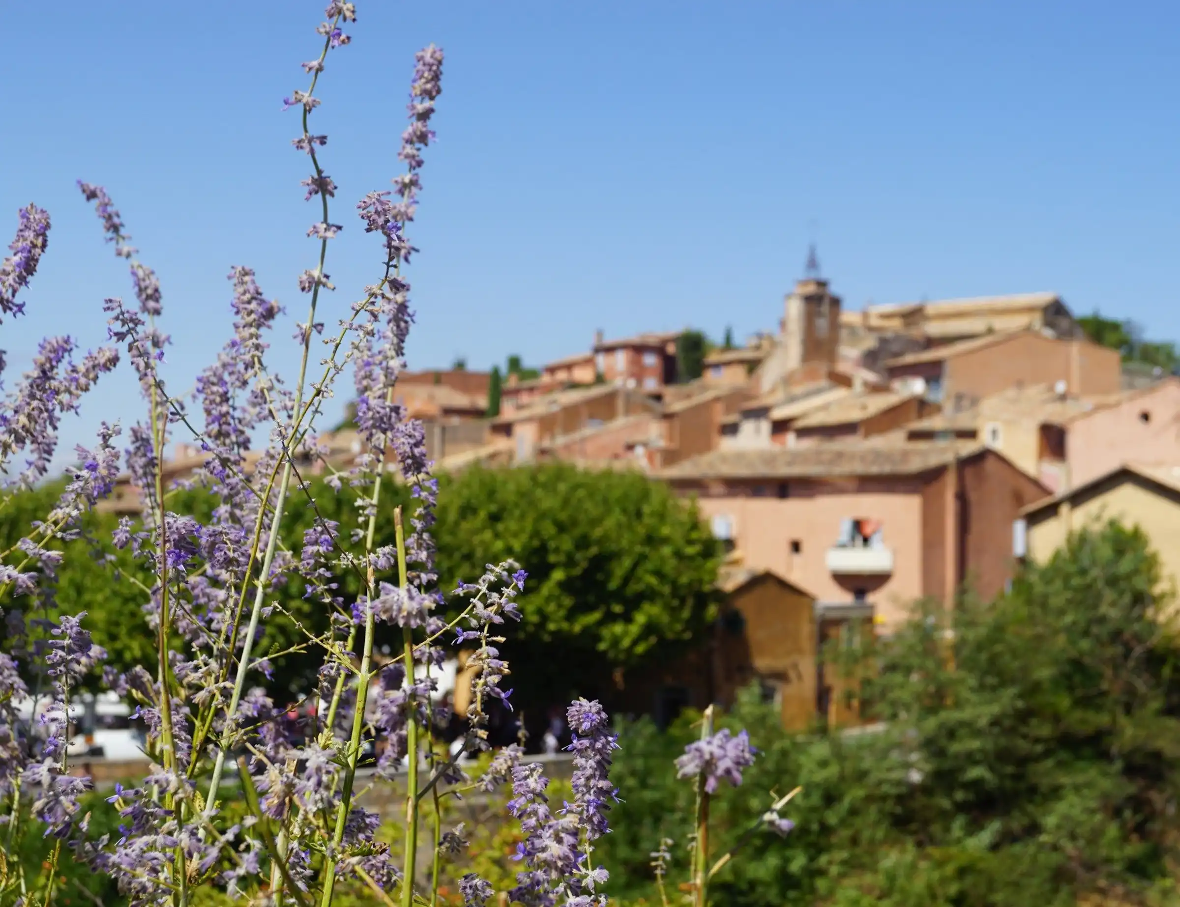 Provence in Luxury Bike Tour