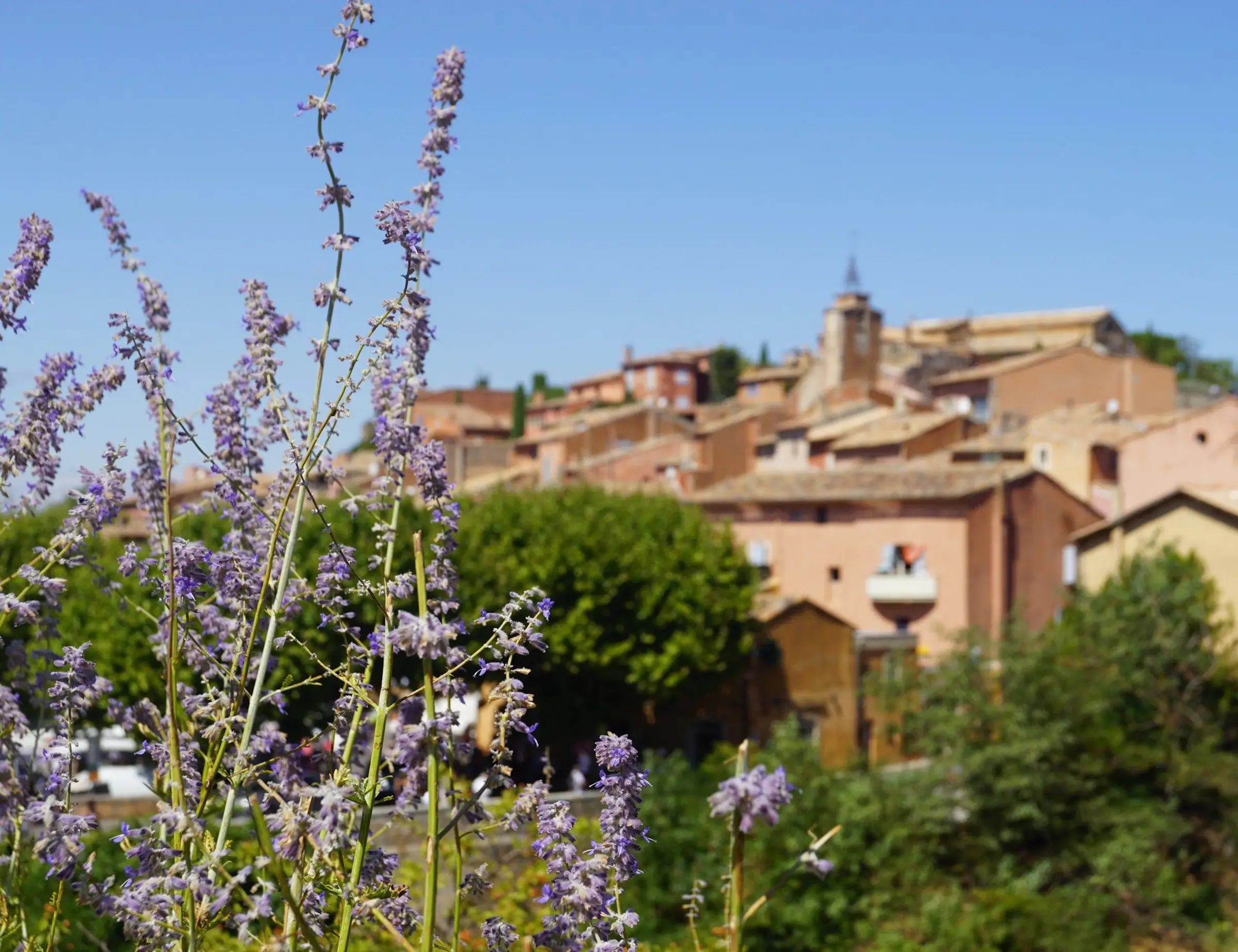 Provence in Luxury Bike Tour