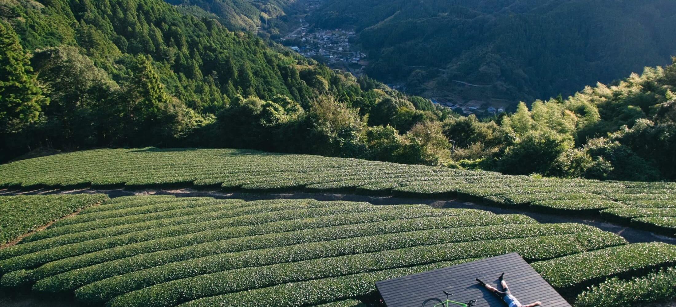 Shizuoka_Day01_DJI_0046   Copy (1)