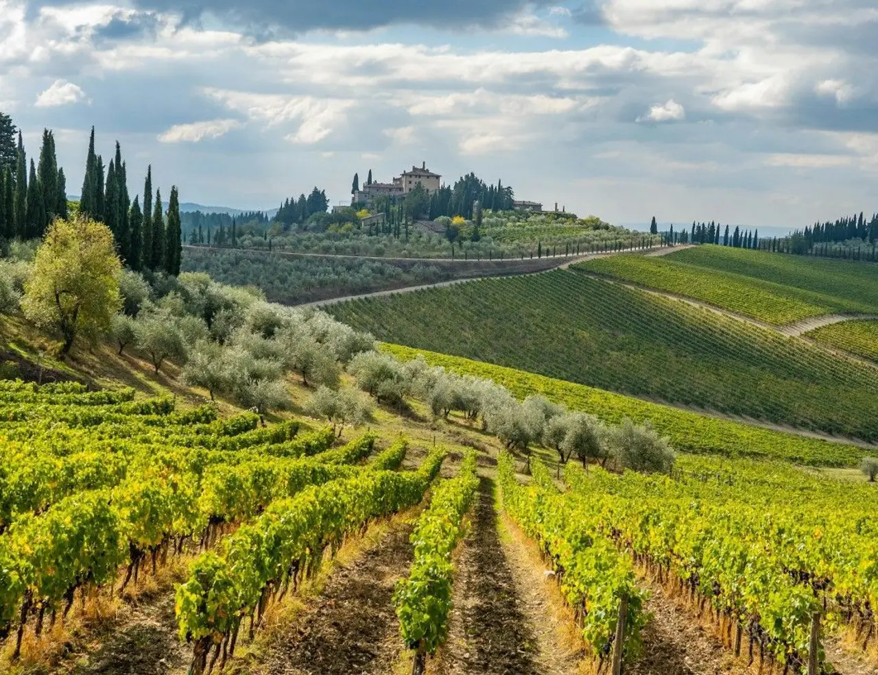 Picture for The Complete Guide To Cycling Tuscany  article